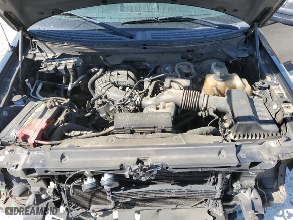 2013 Ford F-150 XL with VIN 1FTEW1CMXDFB15023, listed as a Copart auction lot 50212175 with 195,482 mi miles and Salvage Title. Bid and sale history available at carsss.com. Image 11.