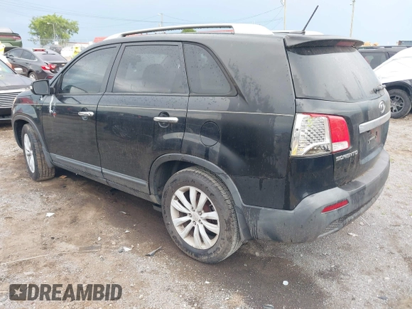2011 Kia Sorento EX with VIN 5XYKU3A14BG015703, listed as a IAAI auction lot 42607024 with 176,491 mi miles and . Bid and sale history available at DreamBid. Image 3.