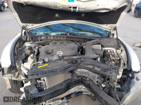 2011 Nissan Maxima S with VIN 1N4AA5AP1BC849457, listed as a IAAI auction lot 42632518 with 160,523 mi miles and . Bid and sale history available at DreamBid. Image 10.