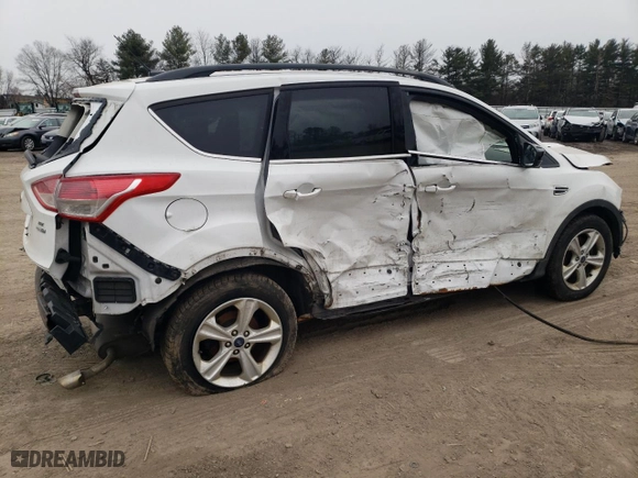 2014 Ford Escape SE with VIN 1FMCU9G96EUD23295, listed as a Copart auction lot 44779455 with 0 mi miles and Salvage Title. Bid and sale history available at carsss.com. Image 3.