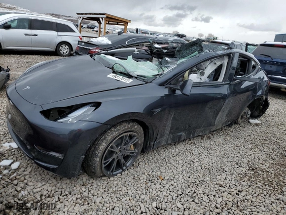 2025 Tesla Model Y Long Range with VIN 7SAYGDEE5SF303938, listed as a Copart auction lot 49817915 with 0 mi miles and Clean Title. Bid and sale history available at carsss.com. Image 1.