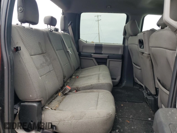 2019 Ford F-150 XL with VIN 1FTEW1E56KFB84343, listed as a Copart auction lot 60722365 with Not provided miles and Clean title. Bid and sale history available at DreamBid. Image 10.