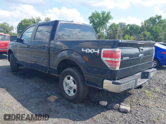 2010 Ford F-150 XL z VIN 1FTEW1E85AFC37042, wystawiony jako IAAI lot #42629730 z przebiegiem 195 760 mil mil oraz . Historia ofert i sprzedaży dostępna na DreamBid. Obrazek 3.
