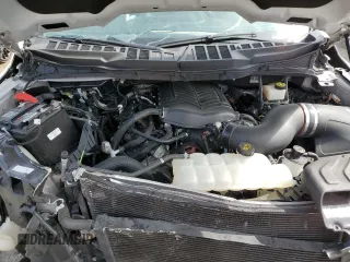 2021 Ford F-150 XL with VIN 1FTMF1C57MKD79392, listed as a Copart auction lot 49148275 with 29,241 mi miles and Salvage title. Bid and sale history available at DreamBid. Image 11.