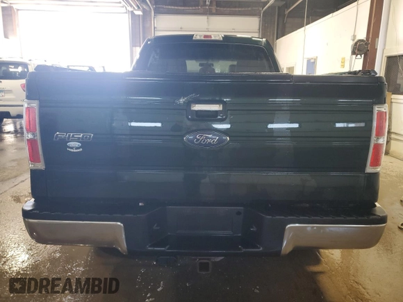 2013 Ford F-150 XL with VIN 1FTFW1ETXDKG50756, listed as a Copart auction lot 55120445 with 206,379 mi miles and Clean Title. Bid and sale history available at carsss.com. Image 6.