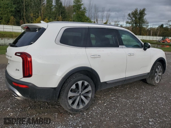2020 Kia Telluride S with VIN 5XYP6DHC1LG004043, listed as a Copart auction lot 53561515 with 50,232 mi miles and Non Repairable. Bid and sale history available at DreamBid. Image 3.