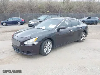 2013 Nissan Maxima 3.5 SV w/Premium Pkg with VIN 1N4AA5AP3DC825454, listed as a IAAI auction lot 41907003 with 146,785 mi miles. Bid and sale history available at carsss.com. Image 2.