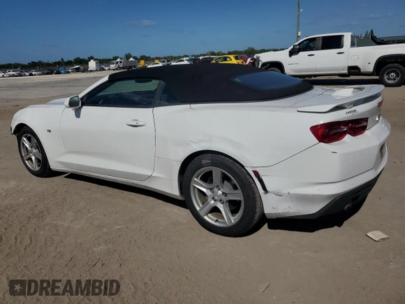 2019 Chevrolet Camaro 1LT with VIN 1G1FB3DS2K0123666, listed as a Copart auction lot 80434184 with 81,195 mi miles and Salvage Title. Bid and sale history available at carsss.com. Image 2.