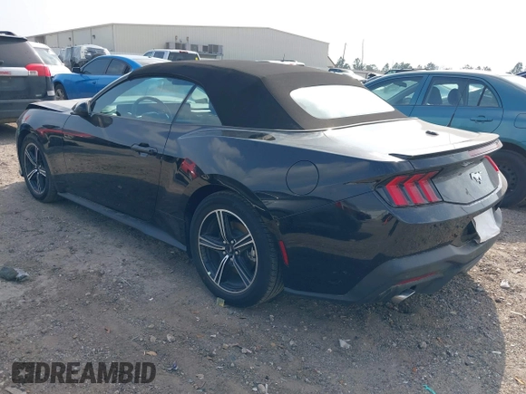 2025 Ford Mustang EcoBoost with VIN 1FAGP8UH9S5105110, listed as a IAAI auction lot 41808310 with 3,703 mi miles. Bid and sale history available at carsss.com. Image 3.