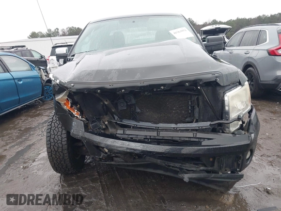 2010 Ford F-150 XL with VIN 1FTEX1C88AFC94335, listed as a IAAI auction lot 41563952 with 198,961 mi miles. Bid and sale history available at carsss.com. Image 12.