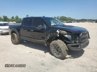 2019 Ford F-150 Raptor with VIN 1FTFW1RG0KFB43691, listed as a Copart auction lot 51160605 with 174,785 mi miles and Salvage Title. Bid and sale history available at carsss.com. Image 4.