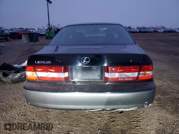2001 Lexus ES 300 with VIN JT8BF28G010338826, listed as a Copart auction lot 87379074 with Not Provided miles and Salvage Title. Bid and sale history available at DreamBid. Image 6.
