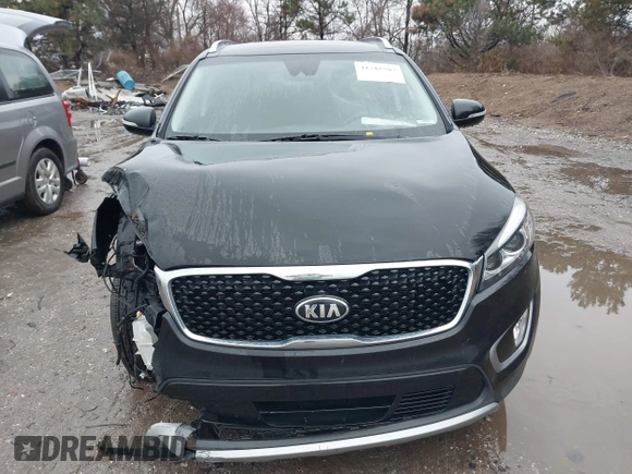 2017 Kia Sorento EX with VIN 5XYPHDA59HG231011, listed as a IAAI auction lot 41218507 with 149,190 mi miles and . Bid and sale history available at DreamBid. Image 12.