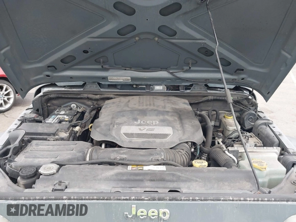 2014 Jeep Wrangler Unlimited Sport with VIN 1C4BJWDG4EL319259, listed as a IAAI auction lot 41494299 with 141,699 mi miles. Bid and sale history available at carsss.com. Image 10.