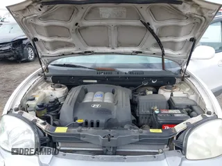 2004 Hyundai Santa Fe GLS z VIN KM8SC73D84U796045, wystawiony jako IAAI lot #41716387 z przebiegiem 150 163 mil mil oraz . Historia ofert i sprzedaży dostępna na DreamBid. Obrazek 10.