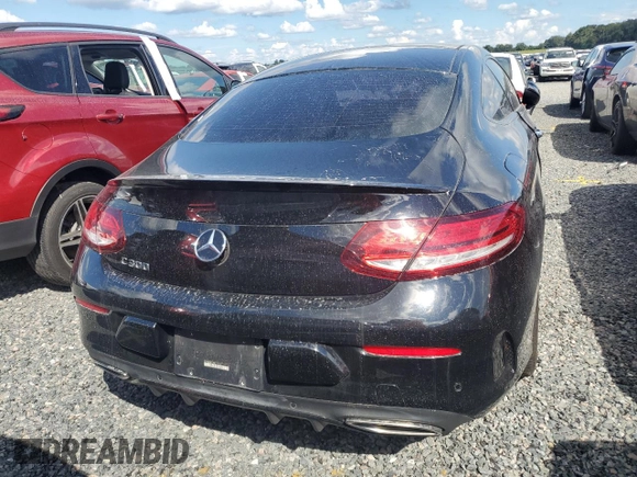 2021 Mercedes-Benz C 300 with VIN W1KWJ8DBXMG100112, listed as a Copart auction lot 74244794 with Not provided miles and Non repairable. Bid and sale history available at DreamBid. Image 6.