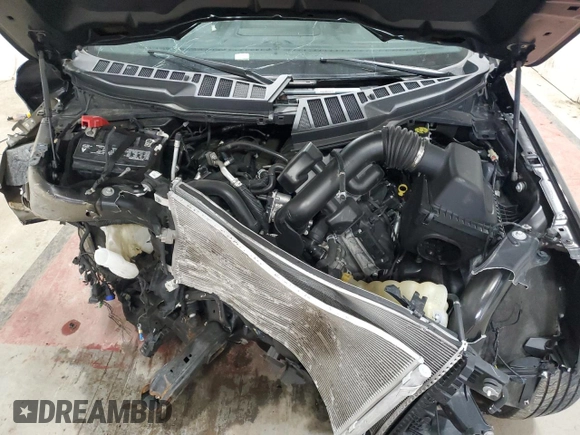 2023 Ford F-150 XL with VIN 1FTEW1C58PFC29051, listed as a Copart auction lot 51284705 with Not Provided miles and Non Repairable. Bid and sale history available at DreamBid. Image 11.