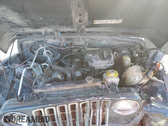 2002 Jeep Wrangler SE with VIN 1J4FA29P72P723223, listed as a Copart auction lot 80833004 with Not Provided miles and Salvage Title. Bid and sale history available at DreamBid. Image 11.