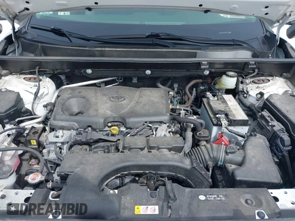2019 Toyota RAV4 XLE with VIN JTMP1RFV7KD521148, listed as a IAAI auction lot 41884793 with 19,590 mi miles. Bid and sale history available at carsss.com. Image 10.
