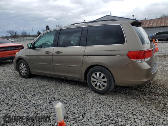 2008 Honda Odyssey EX-L with VIN 5FNRL387X8B116661, listed as a Copart auction lot 52954075 with 177,100 mi miles and Salvage Title. Bid and sale history available at carsss.com. Image 2.
