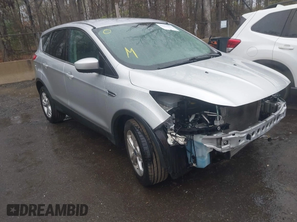2013 Ford Escape SE with VIN 1FMCU0GX8DUD84074, listed as a IAAI auction lot 42003244 with 147,323 mi miles. Bid and sale history available at carsss.com. Image 1.
