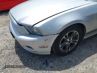 2013 Ford Mustang V6 with VIN 1ZVBP8AM7D5242049, listed as a IAAI auction lot 42629636 with 128,992 mi miles and . Bid and sale history available at DreamBid. Image 6.