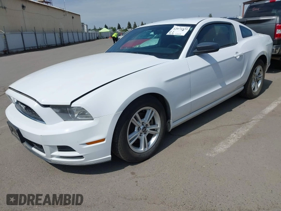 2014 Ford Mustang V6 with VIN 1ZVBP8AMXE5245688, listed as a IAAI auction lot 42074539 with 146,028 mi miles. Bid and sale history available at carsss.com. Image 17.