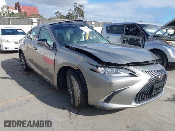 2019 Lexus ES with VIN 58ABZ1B15KU025163, listed as a IAAI auction lot 41890309 with 1 mi miles. Bid and sale history available at carsss.com. Image 1.