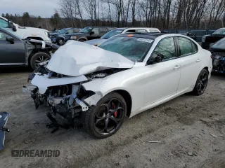 2019 Alfa Romeo Giulia Ti Sport with VIN ZARFANBN8K7604490, listed as a Copart auction lot 66973182 with 0 mi miles. Bid and sale history available at carsss.com. Image 1.