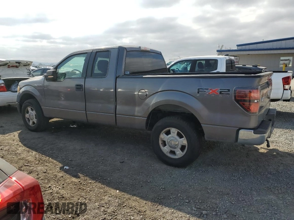 2010 Ford F-150 XL with VIN 1FTFX1CVXAKE76894, listed as a Copart auction lot 43873975 with 151,907 mi miles and Clean Title. Bid and sale history available at carsss.com. Image 2.