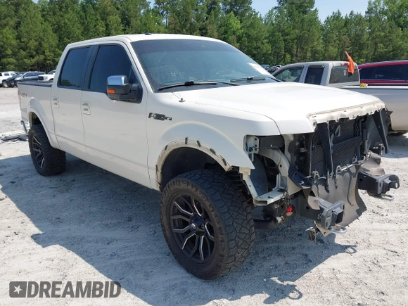 2009 Ford F-150 XL z VIN 1FTPW14V69FA03911, wystawiony jako IAAI lot #42345232 z przebiegiem 138 085 mil mil oraz . Historia ofert i sprzedaży dostępna na DreamBid. Obrazek 1.