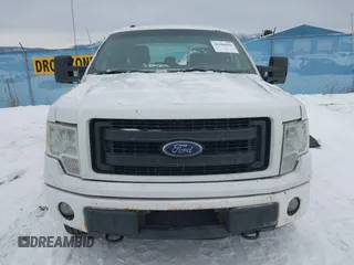 2013 Ford F-150 XL with VIN 1FTFX1EF5DFB37527, listed as a IAAI auction lot 41500050 with 231,877 mi miles and . Bid and sale history available at DreamBid. Image 12.
