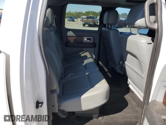 2013 Ford F-150 XL with VIN 1FTFW1EF6DFA35480, listed as a Copart auction lot 50307195 with 176,395 mi miles and Salvage Title. Bid and sale history available at carsss.com. Image 10.