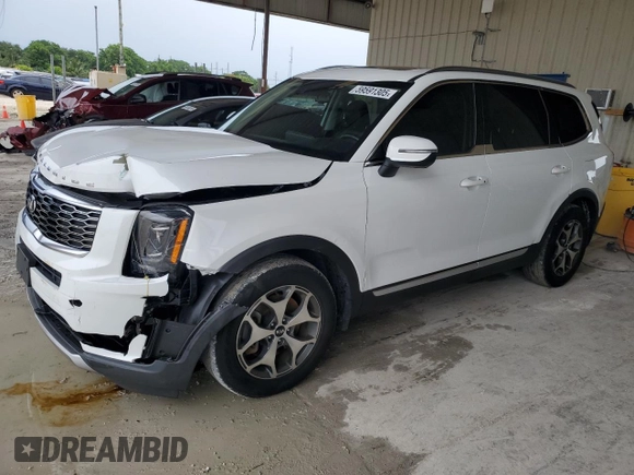 2020 Kia Telluride EX with VIN 5XYP34HCXLG047806, listed as a Copart auction lot 59591305 with 78,574 mi miles and Non repairable. Bid and sale history available at DreamBid. Image 1.
