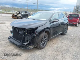 2023 Lexus NX 350 Premium with VIN 2T2GGCEZXPC027494, listed as a IAAI auction lot 42009651 with 4,976 mi miles and . Bid and sale history available at DreamBid. Image 18.