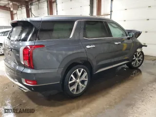 2020 Hyundai Palisade SEL with VIN KM8R3DHE5LU150331, listed as a Copart auction lot 42238695 with 51,415 mi miles and Salvage Title. Bid and sale history available at carsss.com. Image 3.