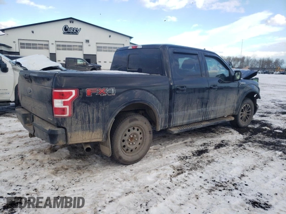 2019 Ford F-150 XL with VIN 1FTEW1EP9KKD61251, listed as a Copart auction lot 81344233 with 141,639 mi miles and Salvage title. Bid and sale history available at DreamBid. Image 3.