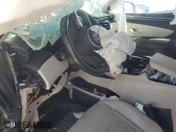 2023 Hyundai Tucson Limited with VIN 5NMJECAE3PH201340, listed as a Copart auction lot 58365505 with Not provided miles and Non repairable. Bid and sale history available at DreamBid. Image 8.
