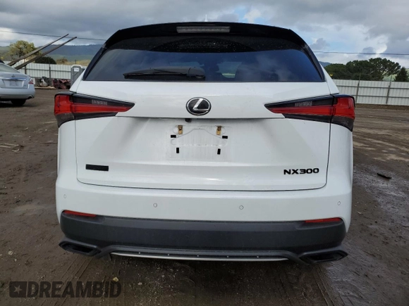 2019 Lexus NX with VIN JTJYARBZ6K2123676, listed as a Copart auction lot 49687845 with 71,143 mi miles and Salvage Title. Bid and sale history available at carsss.com. Image 6.