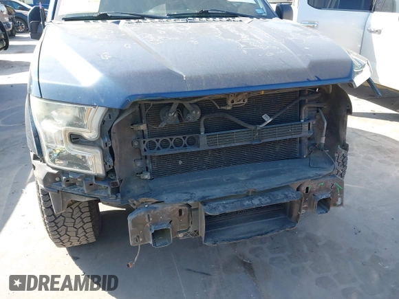 2015 Ford F-150 XL with VIN 1FTEX1CP0FKE14845, listed as a IAAI auction lot 42013909 with 162,644 mi miles. Bid and sale history available at carsss.com. Image 6.