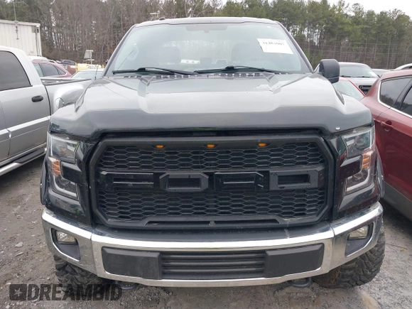 2017 Ford F-150 XL with VIN 1FTEW1EF8HFC36816, listed as a IAAI auction lot 41481007 with 100,828 mi miles. Bid and sale history available at carsss.com. Image 12.