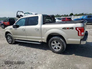 2017 Ford F-150 XL with VIN 1FTEW1EG7HFC07137, listed as a Copart auction lot 60185645 with 45,562 mi miles and Salvage title. Bid and sale history available at DreamBid. Image 2.