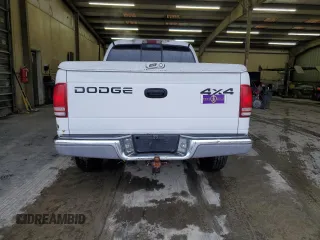2002 Dodge Dakota SLT with VIN 1B7HG48N32S502224, listed as a Copart auction lot 44033265 with 261,381 mi miles and Salvage Title. Bid and sale history available at carsss.com. Image 6.