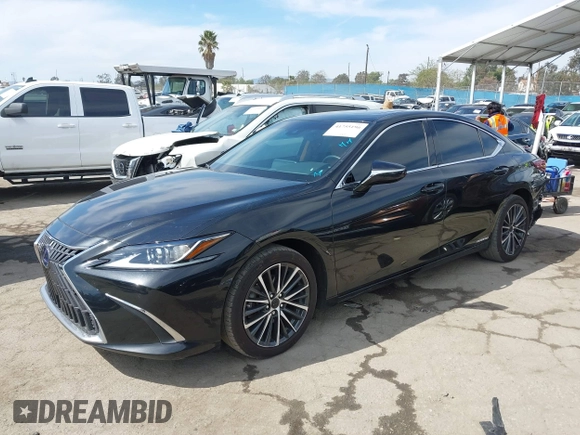 2022 Lexus ES 300h with VIN 58ADA1C18NU025337, listed as a IAAI auction lot 41755196 with 118,413 mi miles and . Bid and sale history available at DreamBid. Image 18.