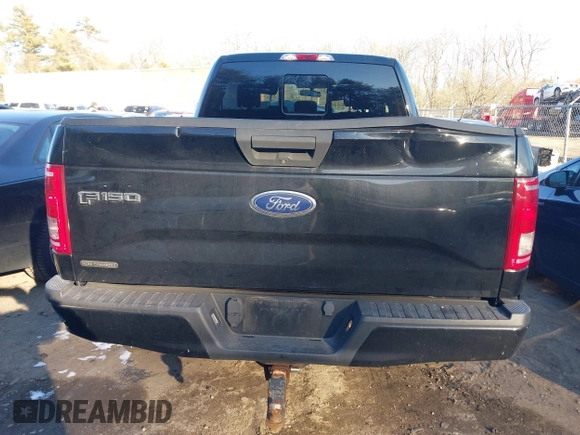 2017 Ford F-150 XL with VIN 1FTEX1EPXHFC22504, listed as a IAAI auction lot 41256497 with 148,434 mi miles. Bid and sale history available at carsss.com. Image 16.