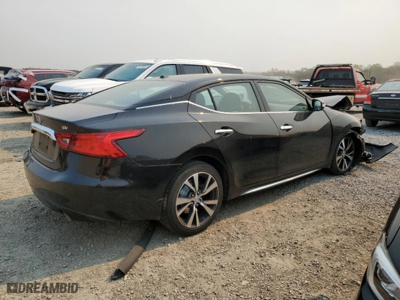 2016 Nissan Maxima 3.5 SL with VIN 1N4AA6AP2GC405078, listed as a Copart auction lot 50555095 with 76,980 mi miles and Salvage Title. Bid and sale history available at carsss.com. Image 3.