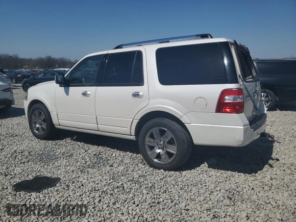 2010 Ford Expedition Limited with VIN 1FMJU1K55AEB69700, listed as a Copart auction lot 48839865 with 185,343 mi miles and Salvage title. Bid and sale history available at DreamBid. Image 2.
