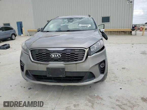 2019 Kia Sorento EX with VIN 5XYPH4A59KG534328, listed as a Copart auction lot 54894065 with 84,168 mi miles and Salvage title. Bid and sale history available at DreamBid. Image 14.