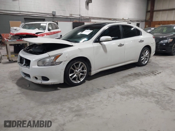 2011 Nissan Maxima 3.5 SV with VIN 1N4AA5AP1BC802204, listed as a IAAI auction lot 42016069 with 99,826 mi miles. Bid and sale history available at carsss.com. Image 2.