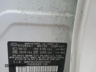 2013 Hyundai Azera with VIN KMHFG4JGXDA215602, listed as a Copart auction lot 66165305 with 119,166 mi miles and Clean title. Bid and sale history available at DreamBid. Image 13.
